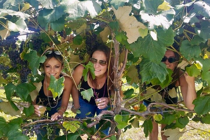Hudson Valley VIP Wine and Beer Tour — All-Inclusive Tasting Experience photo 4