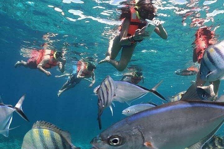 Private Catamaran to Isla Mujeres: Snorkel, Beach Club & Open Bar from Cancún photo 1