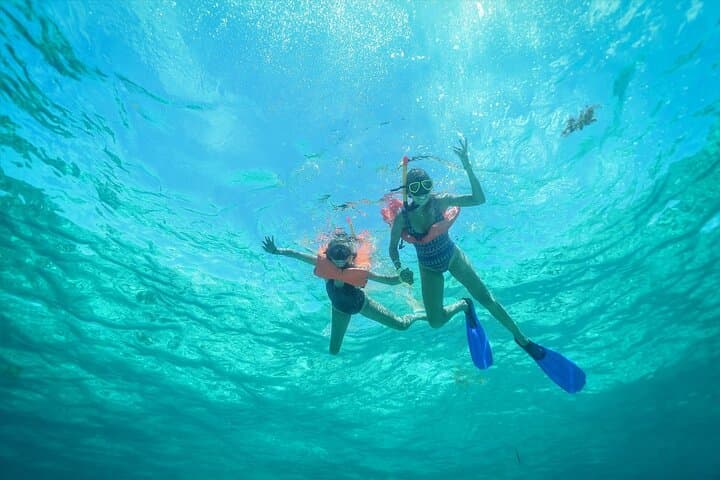 Couples Catamaran to Isla Mujeres with Open Bar & Snorkel photo 5