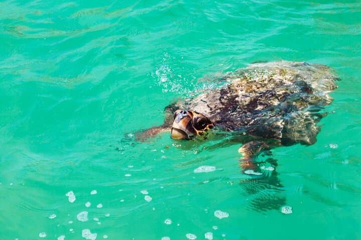 Sian Kaan Eco Boat & Snorkel Safari from Cancun photo 2