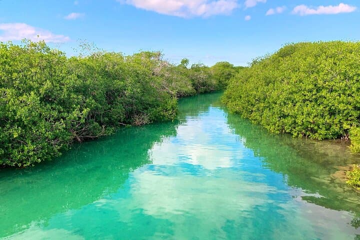 Sian Kaan Eco Boat & Snorkel Safari from Cancun photo 3