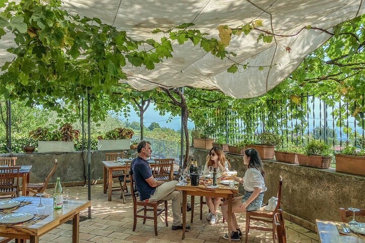 White Lotus Sicily: Etna Wine Tasting & Volcano Walk (Private Tour)