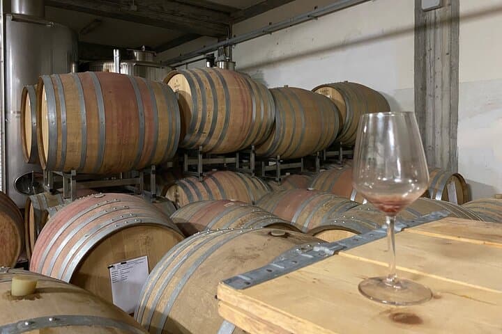 White Lotus Sicily: Etna Wine Tasting & Volcano Walk (Private Tour) photo 4