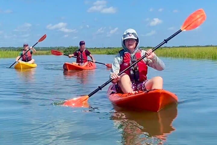 Matanzas River Kayak: Dolphin & Sea Turtle Eco-Tour in St. Augustine photo 5