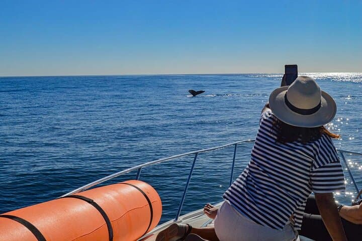 Private Yacht Snorkel and Sunset Cruise in Cabo San Lucas photo 3
