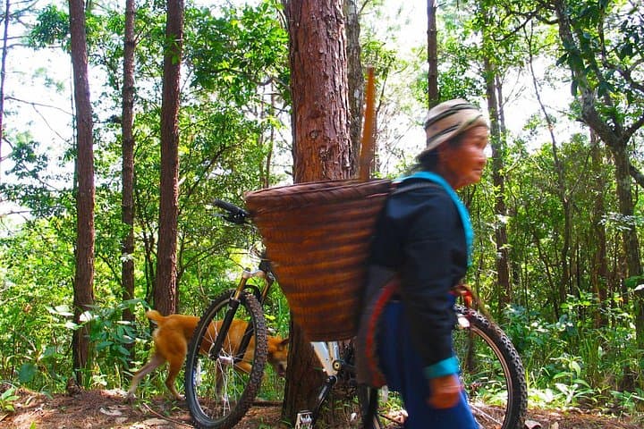 Doi Suthep Downhill MTB: 20km Chiang Mai Mountain Bike Adventure photo 2