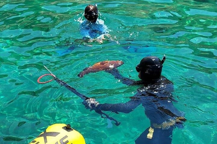Spearfishing in Chania, Crete — Guided Freediving, Catch & Grill Experience