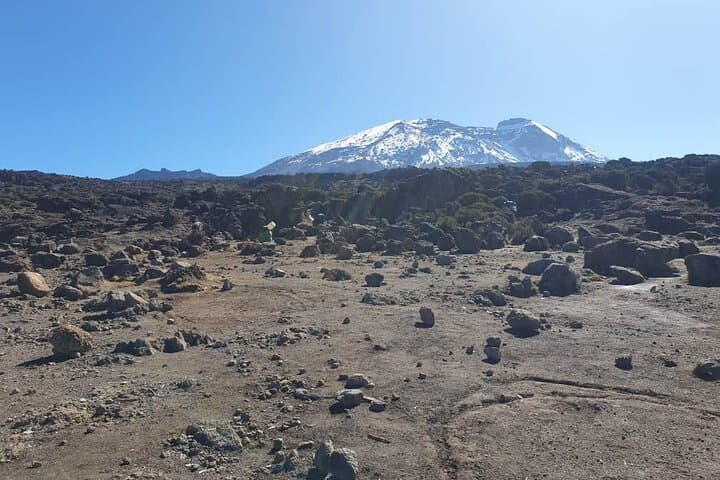 7-Day Machame Route Trek to Mount Kilimanjaro (Uhuru Peak) photo 2