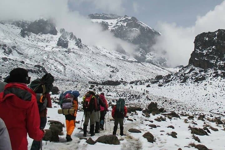 7-Day Machame Route Trek to Mount Kilimanjaro (Uhuru Peak) photo 4