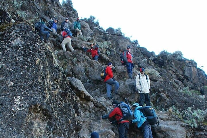 7-Day Machame Route Trek to Mount Kilimanjaro (Uhuru Peak) photo 5