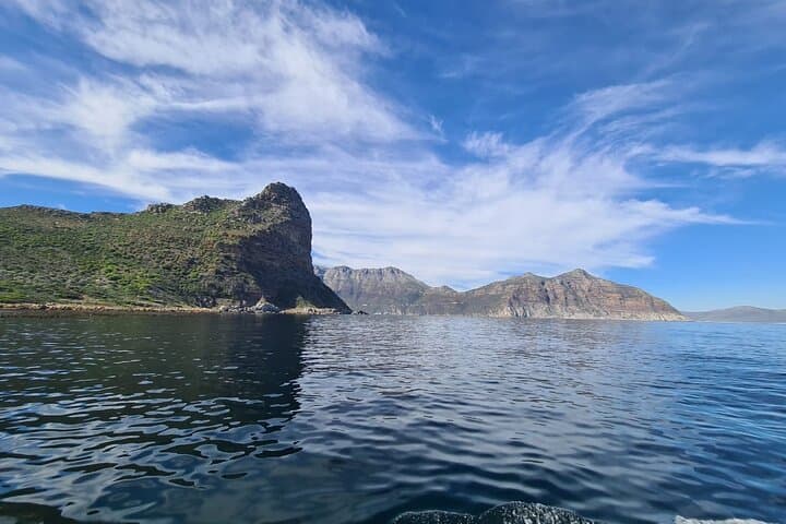 Hout Bay Seal Island Boat Trip and Chapmans Peak Drive — Full-Day from Cape Town photo 5