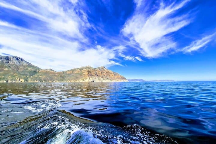 Hout Bay Seal Island Boat Trip and Chapmans Peak Drive — Full-Day from Cape Town photo 6