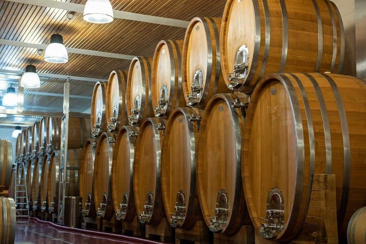 Bohemian Uplands Wine Tasting Tour from Prague with Lunch photo 4