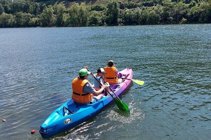 Paddling the Saône: 2-Hour Canoe Adventure from Rochetaillée