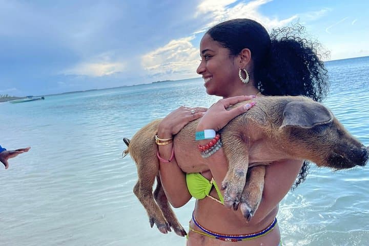Rose Island Private Beach & Swimming Pigs Powerboat Tour (Nassau)
