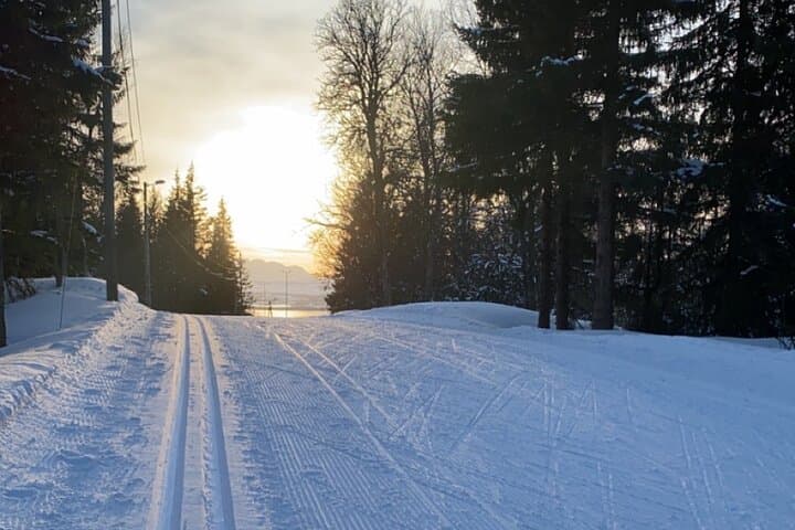 Tromsø Cross-Country Skiing Adventure — Learn Langrenn on Arctic Trails photo 2