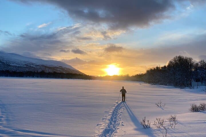 Tromsø Cross-Country Skiing Adventure — Learn Langrenn on Arctic Trails