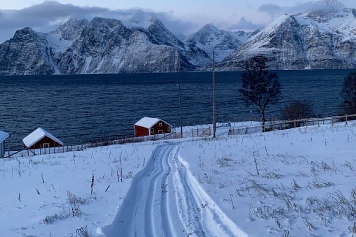 Tromsø Cross-Country Skiing Adventure — Learn Langrenn on Arctic Trails photo 6