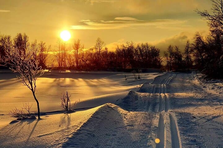 Tromsø Cross-Country Skiing Adventure — Learn Langrenn on Arctic Trails photo 4