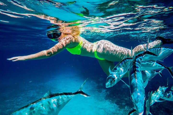 Cozumel Reefs Snorkeling: Palancar, Colombia & El Cielo in 4 Hours photo 5
