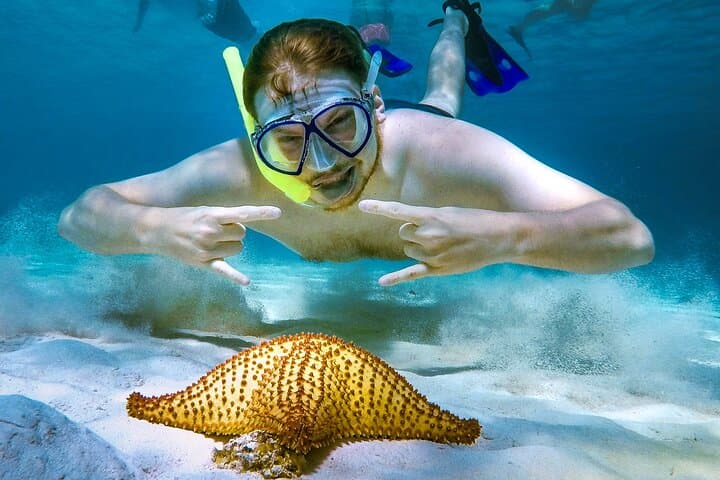 Cozumel Reefs Snorkeling: Palancar, Colombia & El Cielo in 4 Hours photo 3
