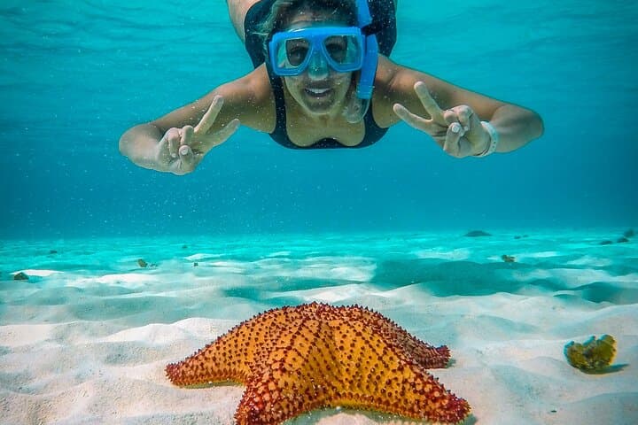 Cozumel Reefs Snorkeling: Palancar, Colombia & El Cielo in 4 Hours photo 2