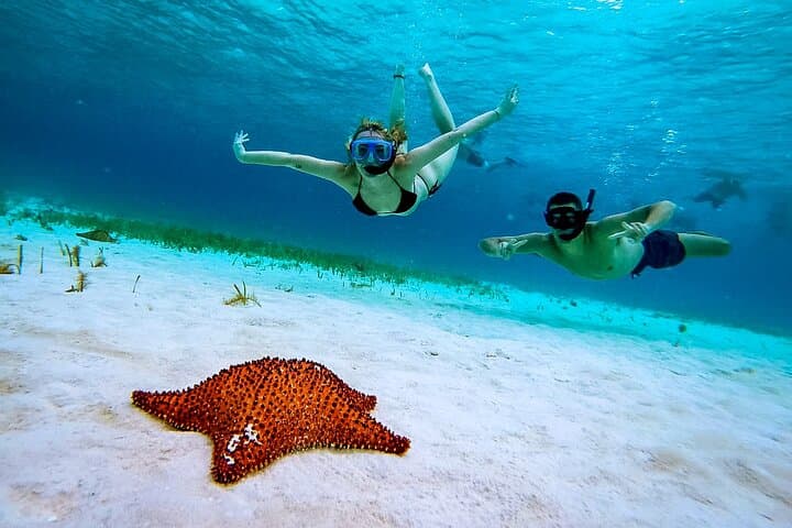 Cozumel Reefs Snorkeling: Palancar, Colombia & El Cielo in 4 Hours