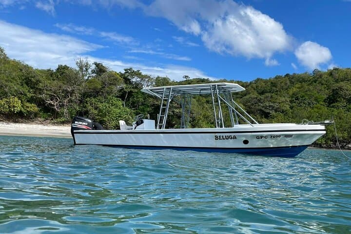Golden Hour Snorkeling in Playa Flamingo: Private Sunset Boat Tour photo 6