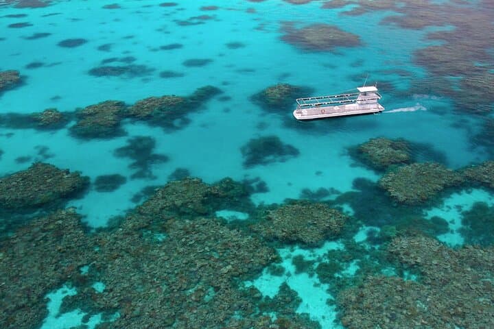 Outer Great Barrier Reef Snorkel Cruise to Agincourt Reef from Port Douglas photo 5