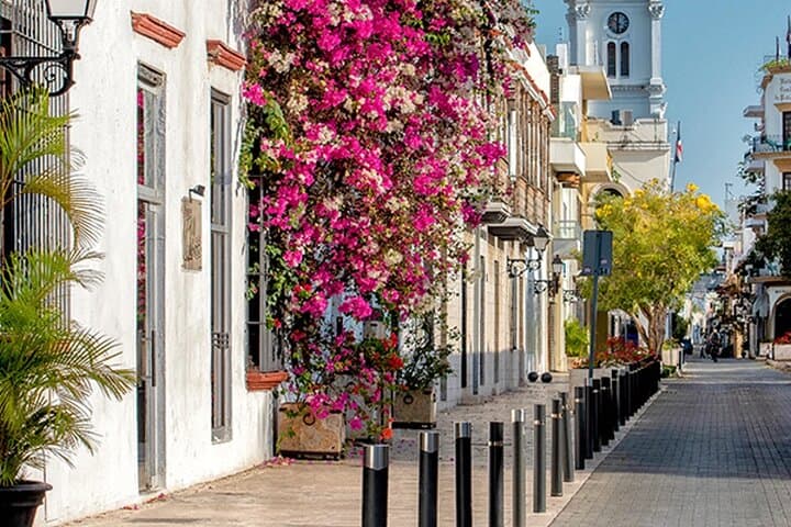 Half-Day Walking Tour in Santo Domingo's Colonial Zone: Historic Sights & Ozama Riverside