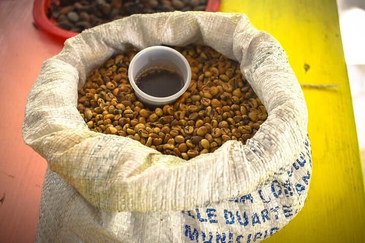 Discover the Heartbeat of Dominican Culture on a Small Group Safari photo 2