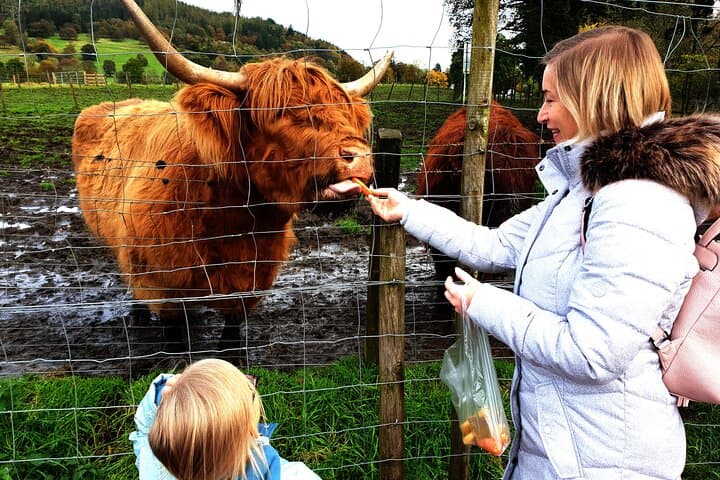 Loch Ness, Glencoe & Urquhart Castle — Private Day Tour from Edinburgh photo 3