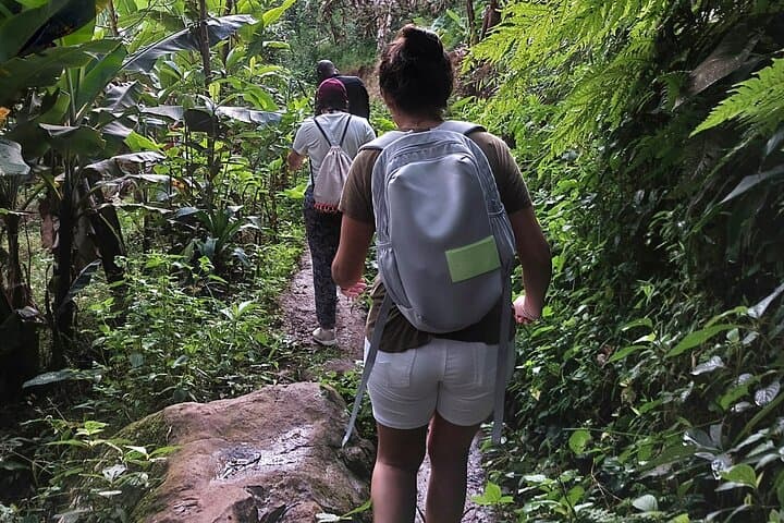 Materuni Waterfalls and Coffee Tour — Hike, Swim & Chagga Coffee Experience Near Moshi photo 2