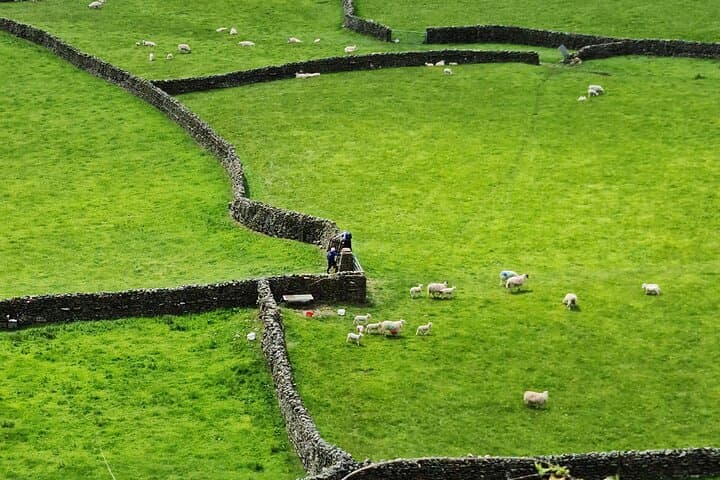 Yorkshire Dales: All Creatures Great & Small Small-Group Tour from York photo 3