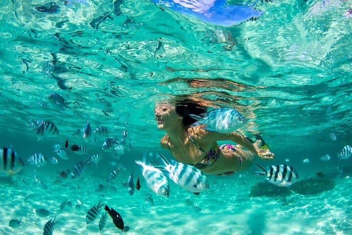 Private Coral Island Snorkeling Adventure from Phuket
