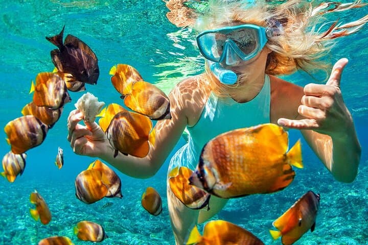 Private Coral Island Snorkeling Adventure from Phuket photo 4