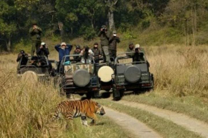 Jim Corbett Jeep Safari: 4-Hour Wild Game Drive in Corbett National Park photo 4