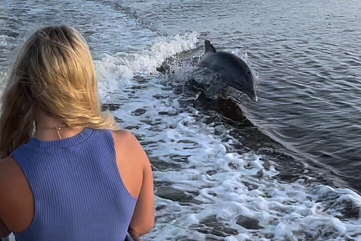 Best of Marco Island Cruise: Ten Thousand Islands, Wildlife & Cape Romano Dome House photo 2