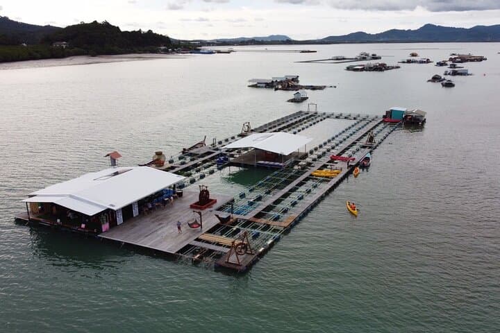 Phuket All-Inclusive Zipline and Mangrove Floating Farm Adventure photo 4