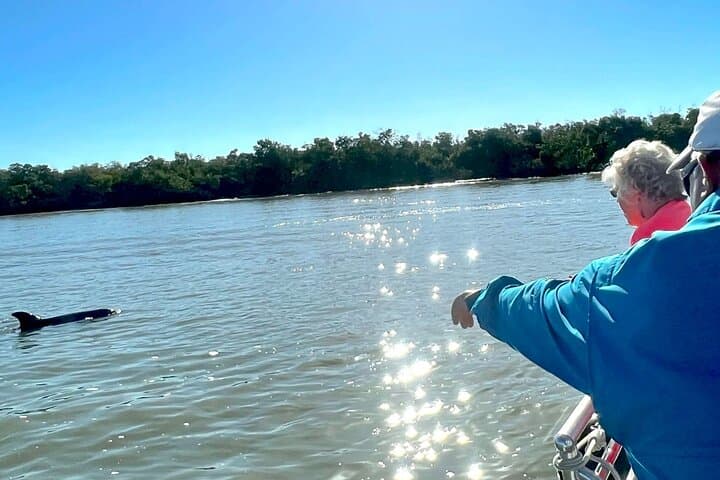 Exploring Marco Island’s Wild Waters: The Best of Marco Island Dolphin Tour Experience photo 4