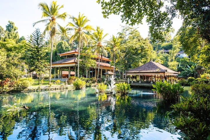 Best of Ubud Private Tour — Besakih, Jungle Swing & Tibumana Waterfall (All-Inclusive) photo 5