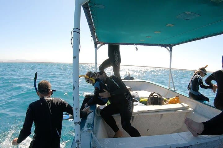 Swim with Whale Sharks in La Paz — Small-Group Marine Biologist Expedition photo 4