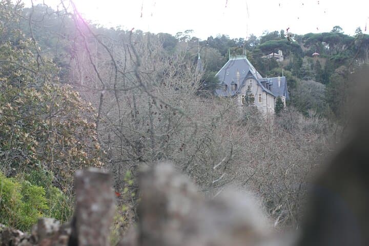 Private 90-Minute Sintra Guided Tour — Pena Palace, Moorish Castle & Pena Park photo 5