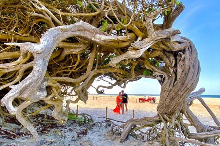 Private Buggy Tour Along the East Coast of Jericoacoara: Lagoons, Dunes & Beach Clubs photo 3