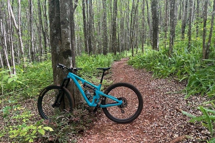 Upcountry Maui Mountain Biking on Haleakala Slopes: Singletrack, Flow Trails & Forest Rides photo 2