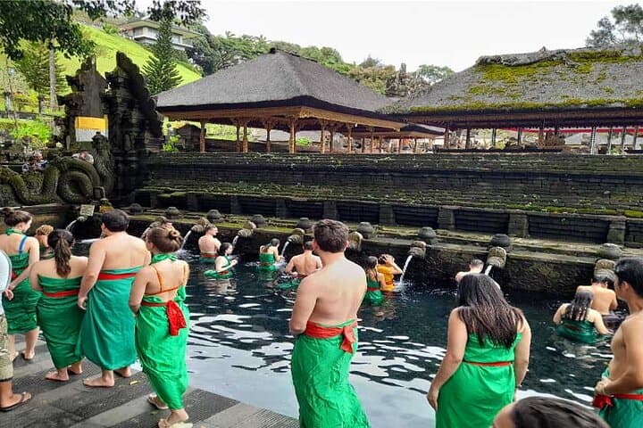 Full-Day Ubud Highlights: Bali Bird Park, Monkey Forest, Tegalalang & Tirta Empul photo 4