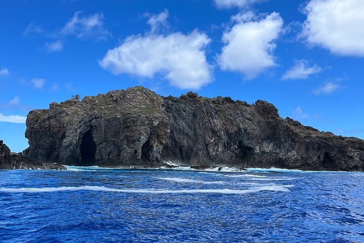 Motu Nui Snorkel & Boat Tour — Tangata Manu History and Coral Encounters on Rapa Nui photo 4