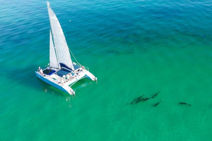 Exploring Key West’s Mangroves and Reefs: Kayak, Snorkel & Sail with Honest Eco