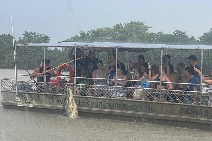 Adelaide River Jumping Crocodile Cruise from Darwin — Half-Day Croc Bus Adventure photo 6