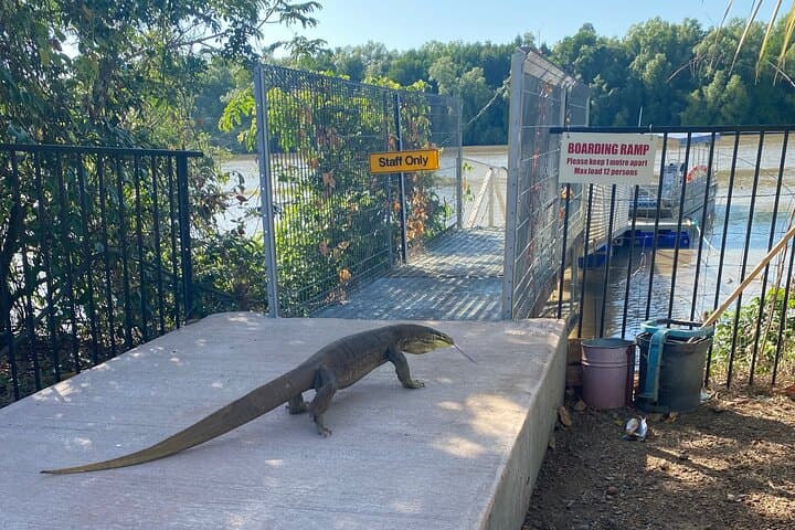Adelaide River Jumping Crocodile Cruise from Darwin — Half-Day Croc Bus Adventure photo 3